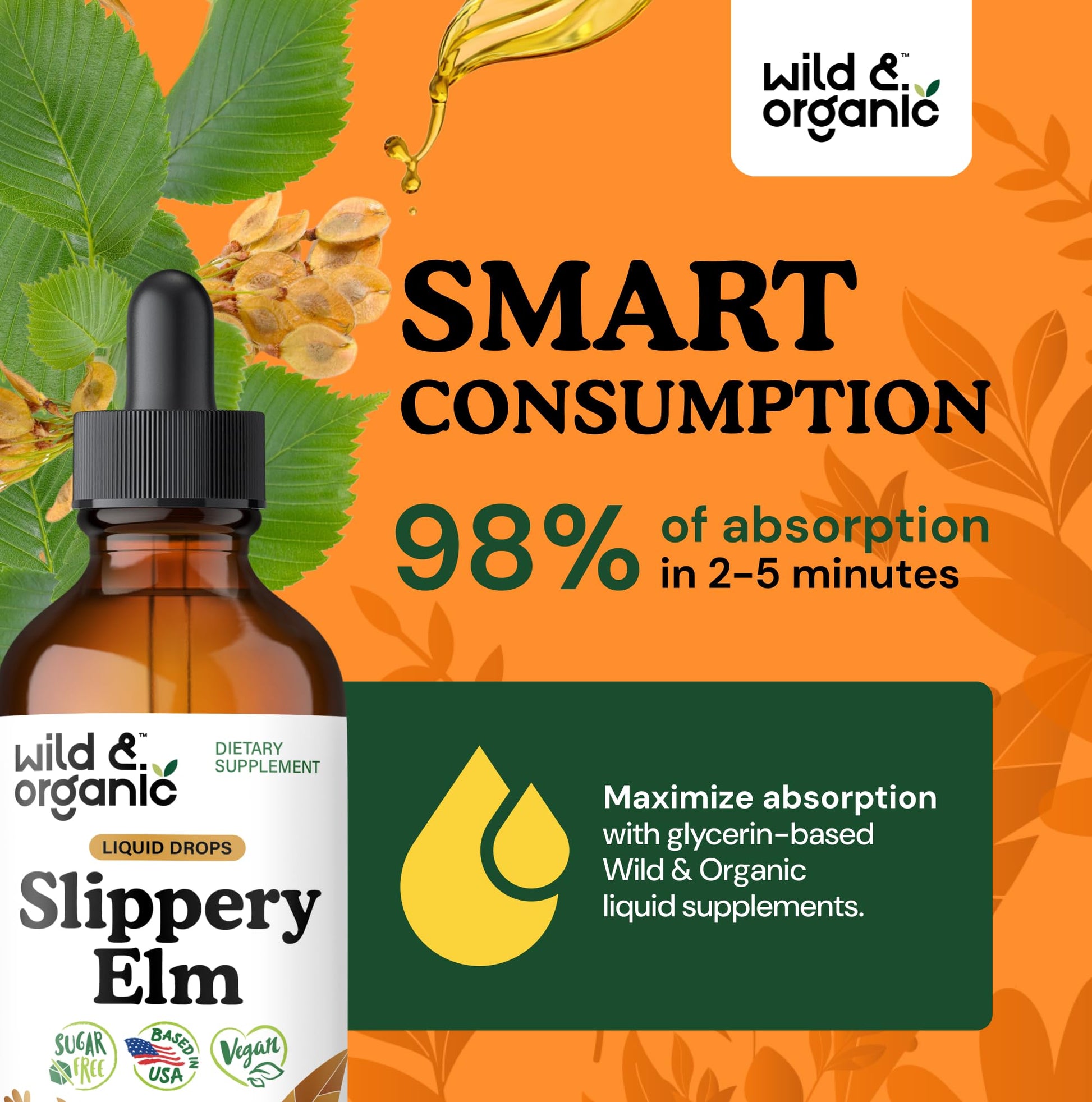 Wild & Organic Slippery Elm Liquid Drops - Lung, Digestive & Women's Support - Slippery Elm Bark Supplement - Add to Tea Tincture - Ulmus Rubra Herb - Vegan, Sugar & Alcohol-Free - 4 fl oz - PrimeBioHealth - canada supplements