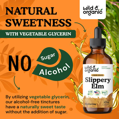 Wild & Organic Slippery Elm Liquid Drops - Lung, Digestive & Women's Support - Slippery Elm Bark Supplement - Add to Tea Tincture - Ulmus Rubra Herb - Vegan, Sugar & Alcohol-Free - 4 fl oz - PrimeBioHealth - canada supplements