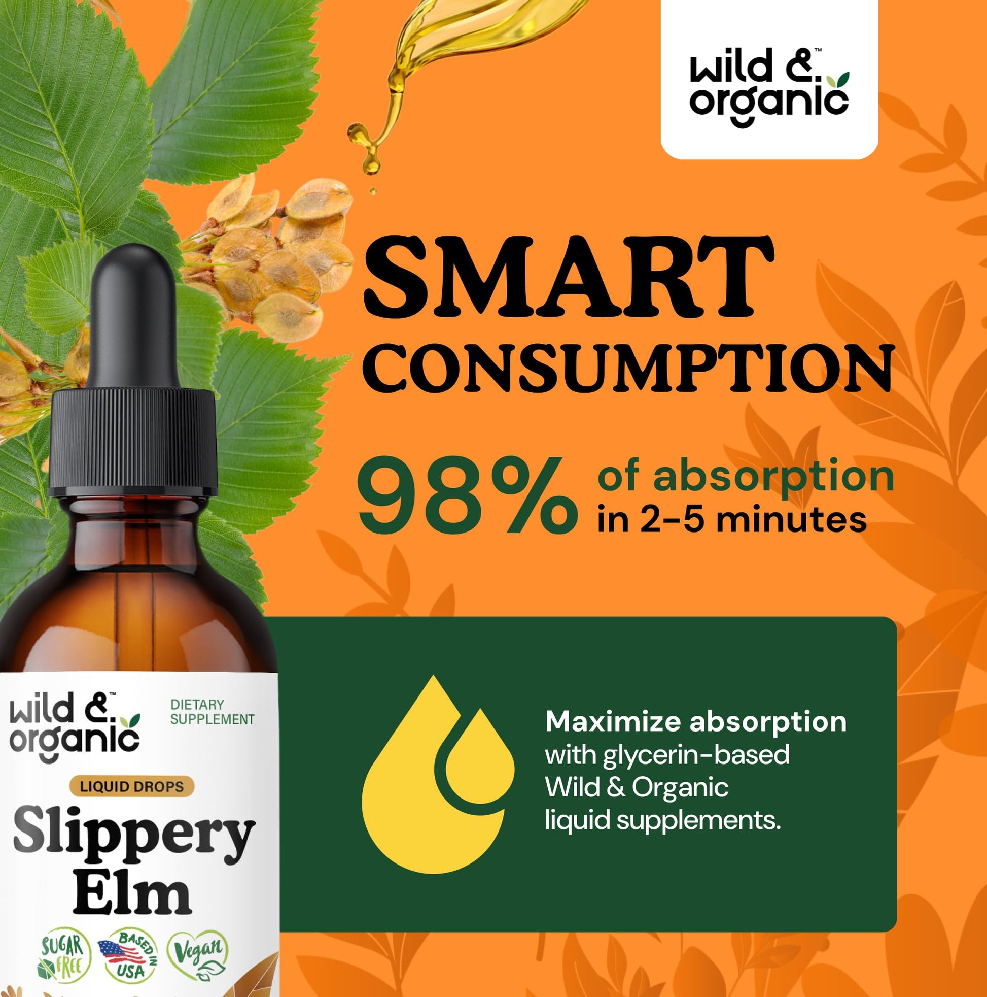 Wild & Organic Slippery Elm Liquid Drops - Lung, Digestive & Women's Support - Slippery Elm Bark Supplement - Add to Tea Tincture - Ulmus Rubra Herb - Vegan, Sugar & Alcohol-Free - 4 fl oz - PrimeBioHealth - canada supplements
