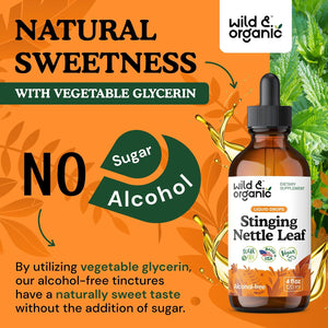 Wild & Organic Stinging Nettle Leaf Tincture - Urinary Tract Support - Stinging Nettle Extract Liquid Drops - Urtica Dioica Supplement - 5-Month Supply - Vegan, Sugar & Alcohol-Free - 4 fl oz - PrimeBioHealth - canada supplements