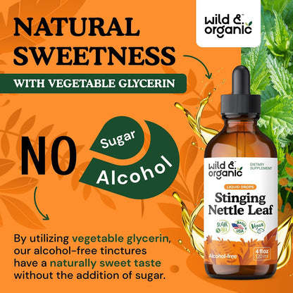Wild & Organic Stinging Nettle Leaf Tincture - Urinary Tract Support - Stinging Nettle Extract Liquid Drops - Urtica Dioica Supplement - 5-Month Supply - Vegan, Sugar & Alcohol-Free - 4 fl oz - PrimeBioHealth - canada supplements