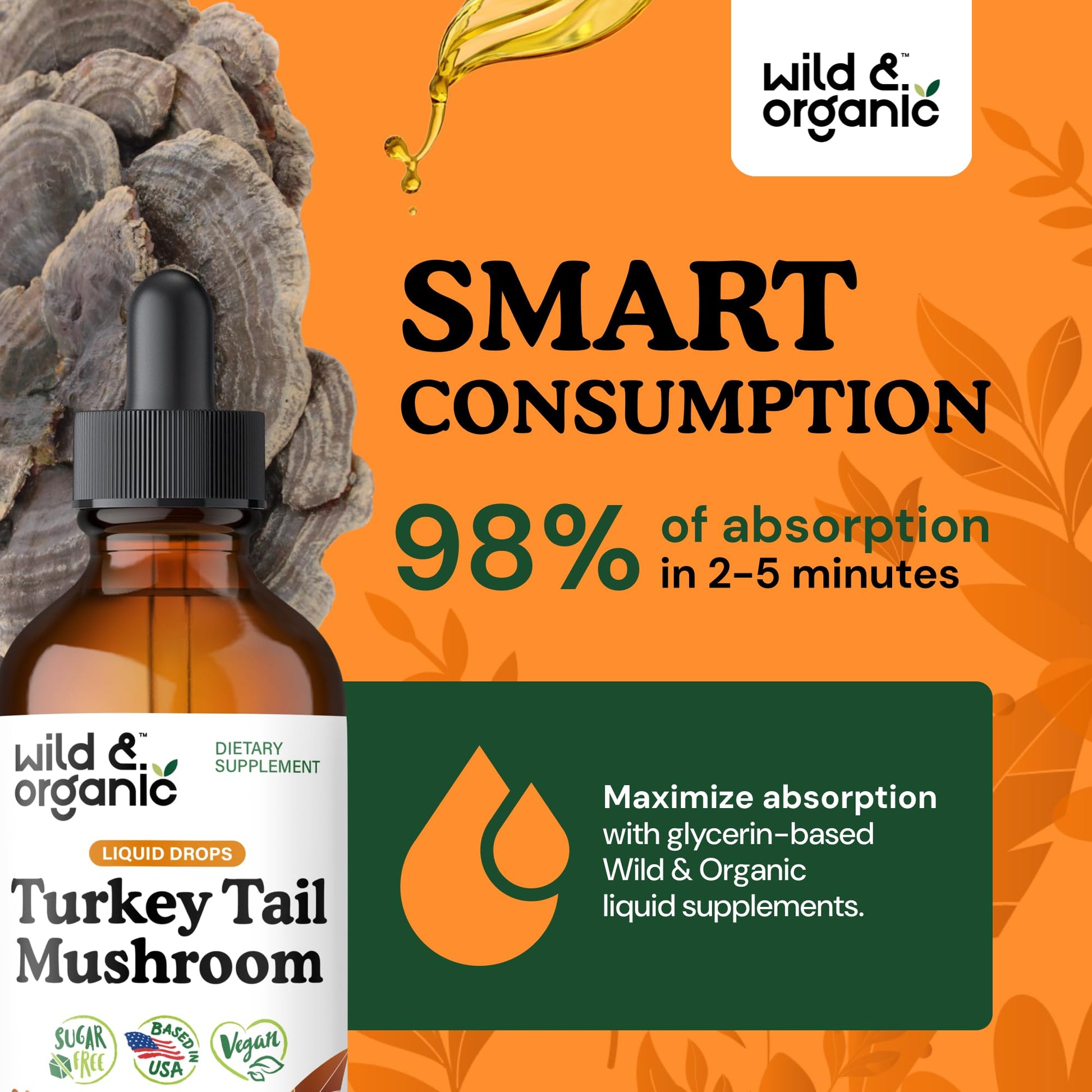 Wild & Organic Turkey Tail Mushroom Tincture - Immune Support Drops with Turkey Tail Extract - Liquid Mushroom Supplement for Gut Support - Vegan, Sugar & Alcohol-Free - 4 fl oz - PrimeBioHealth - canada supplements