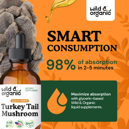 Wild & Organic Turkey Tail Mushroom Tincture - Immune Support Drops with Turkey Tail Extract - Liquid Mushroom Supplement for Gut Support - Vegan, Sugar & Alcohol-Free - 4 fl oz - PrimeBioHealth - canada supplements