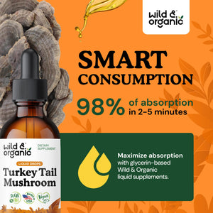 Wild & Organic Turkey Tail Mushroom Tincture - Immune Support Drops with Turkey Tail Extract - Liquid Mushroom Supplement for Gut Support - Vegan, Sugar & Alcohol-Free - 4 fl oz - PrimeBioHealth - canada supplements