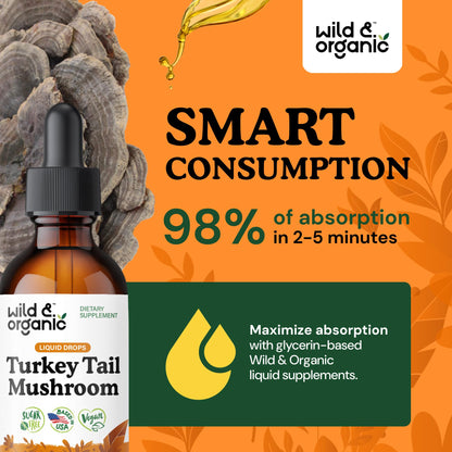 Wild & Organic Turkey Tail Mushroom Tincture - Immune Support Drops with Turkey Tail Extract - Liquid Mushroom Supplement for Gut Support - Vegan, Sugar & Alcohol-Free - 4 fl oz - PrimeBioHealth - canada supplements