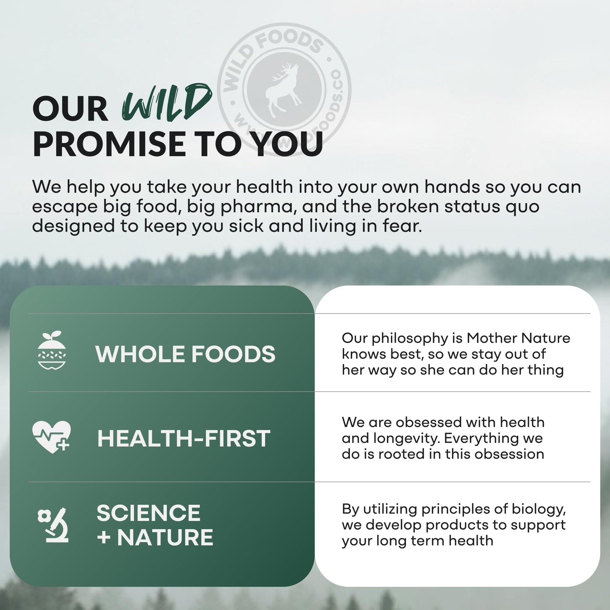 Wild Prebiotics and Probiotics with Digestive Enzymes | 20 Billion CFU - 10 Strains for Women & Men | Support Gut Health & Digestion Supplements | Non-GMO Prebiotic Fiber | 30 Capsules - PrimeBioHealth - canada supplements