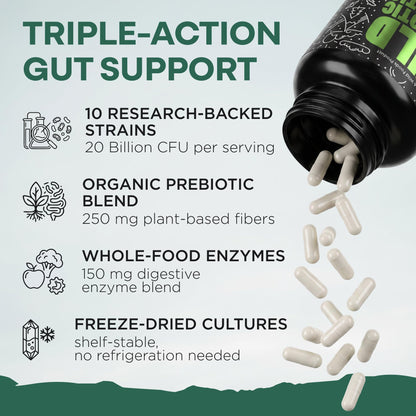 Wild Prebiotics and Probiotics with Digestive Enzymes | 20 Billion CFU - 10 Strains for Women & Men | Support Gut Health & Digestion Supplements | Non-GMO Prebiotic Fiber | 30 Capsules - PrimeBioHealth - canada supplements