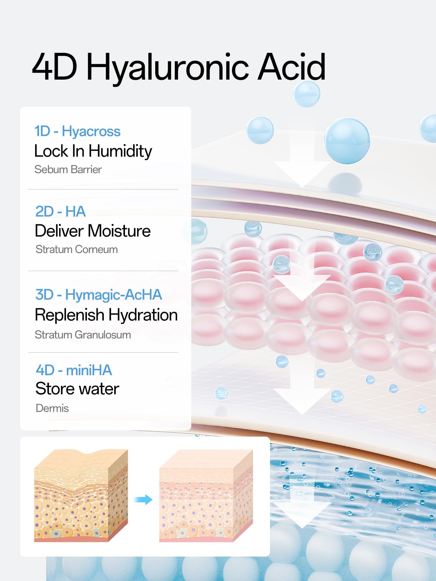 WNP Hyaluronic Acid Serum 3% for Face with 4D Multi-Layer Hydration | Ultra Hydrating Anti-Aging Serum | Moisturizer for Dry & Sensitive Skin - PrimeBioHealth - canada supplements