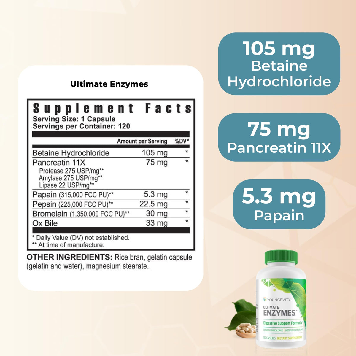 Youngevity Ultimate Enzymes® - Multi Enzymes for Digestion, Gas & Bloating Relief - Betaine HCl, Ox Bile, Pancreatine 10X, Papain 6M, Pepsin 1:3000 (120 Capsules) - PrimeBioHealth - canada supplements