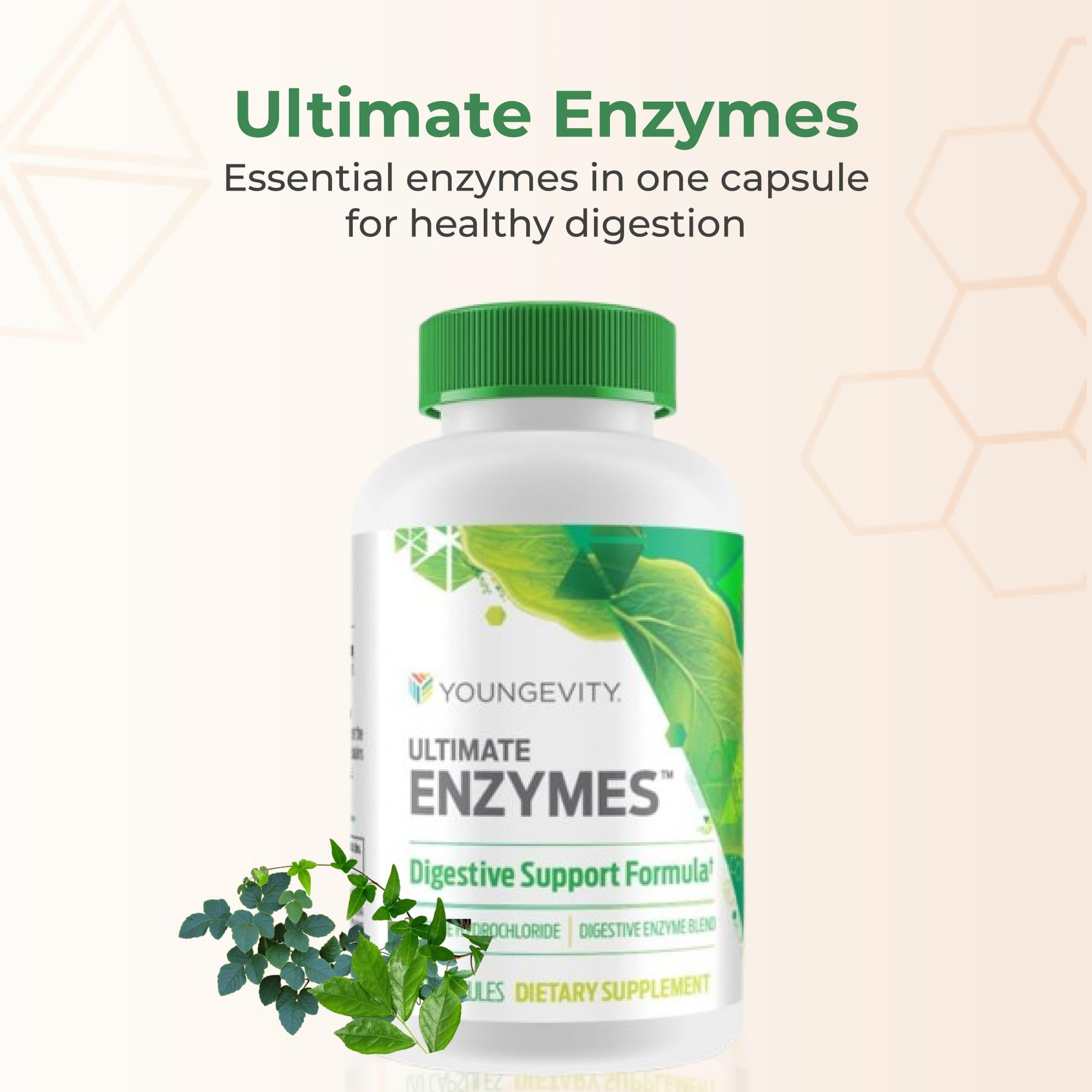 Youngevity Ultimate Enzymes® - Multi Enzymes for Digestion, Gas & Bloating Relief - Betaine HCl, Ox Bile, Pancreatine 10X, Papain 6M, Pepsin 1:3000 (120 Capsules) - PrimeBioHealth - canada supplements