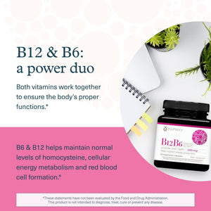 Youtheory B12B6 - Vitamin B12 & B6 - Supports Mood, Nervous System & Metabolism* - Aids Memory & Stress Management* - PrimeBioHealth - canada supplements