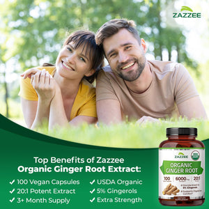 Zazzee USDA Organic Ginger Root 20:1 Extract, 5% Gingerols, 100 Vegan Capsules, 3+ Month Supply, Zingiber Officinale, Digestive & Stomach Support, All-Natural, Non-GMO, Made in the USA - PrimeBioHealth - canada supplements