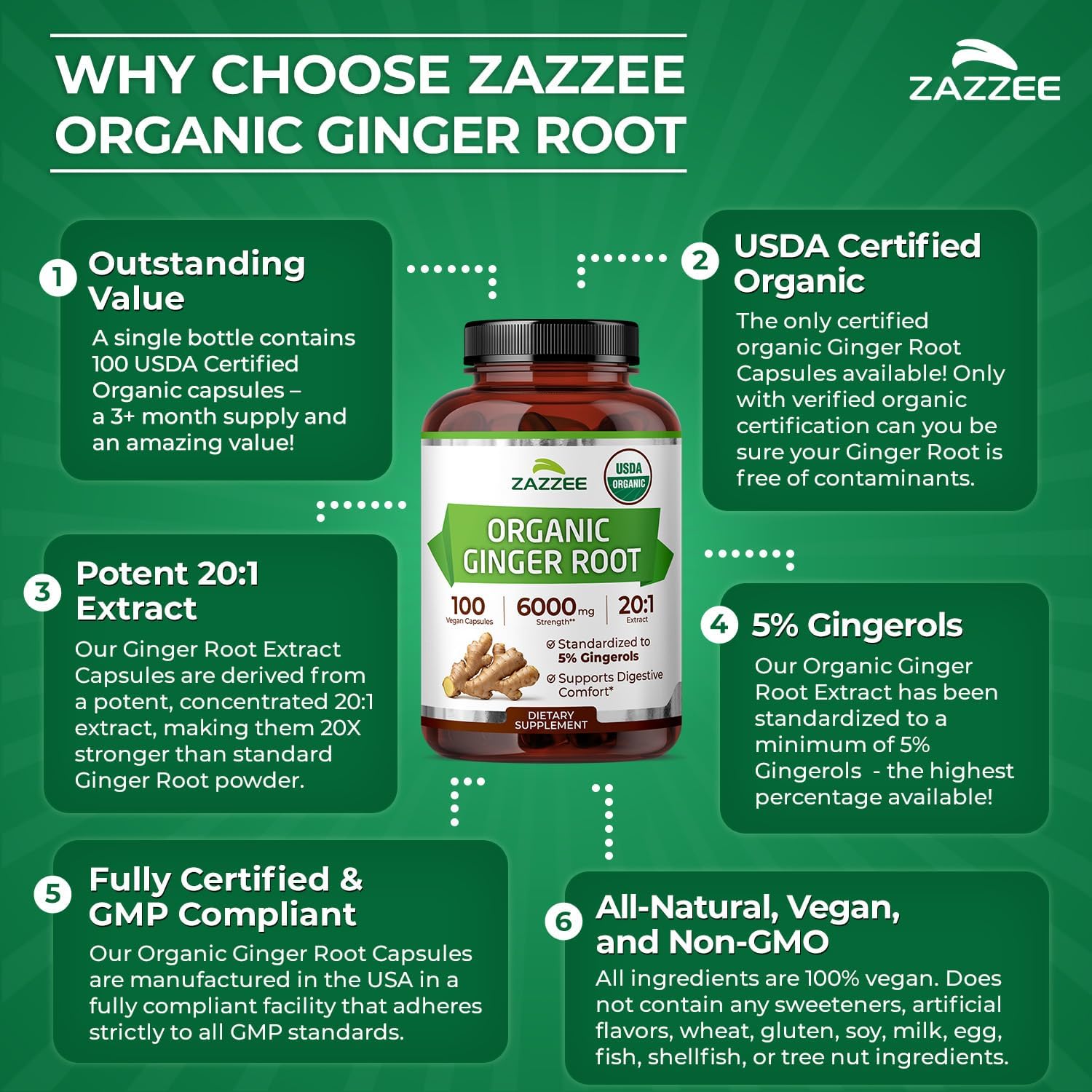 Zazzee USDA Organic Ginger Root 20:1 Extract, 5% Gingerols, 100 Vegan Capsules, 3+ Month Supply, Zingiber Officinale, Digestive & Stomach Support, All-Natural, Non-GMO, Made in the USA - PrimeBioHealth - canada supplements