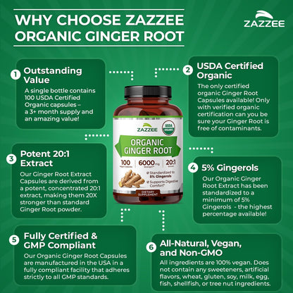 Zazzee USDA Organic Ginger Root 20:1 Extract, 5% Gingerols, 100 Vegan Capsules, 3+ Month Supply, Zingiber Officinale, Digestive & Stomach Support, All-Natural, Non-GMO, Made in the USA - PrimeBioHealth - canada supplements