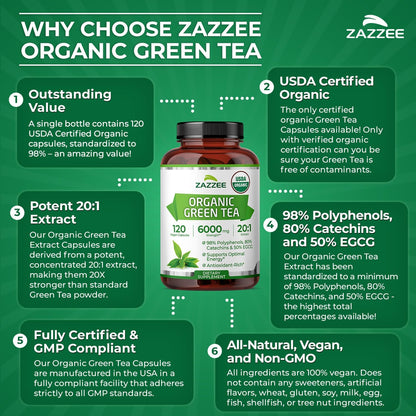 Zazzee USDA Organic Green Tea 20:1 Extract, 50% EGCG, 98% Polyphenols, 80% Catechins, 120 Vegan Capsules, 4 Month Supply, Antioxidant, Metabolism & Energy Support, Non-GMO, All-Natural, Made in USA - PrimeBioHealth - canada supplements
