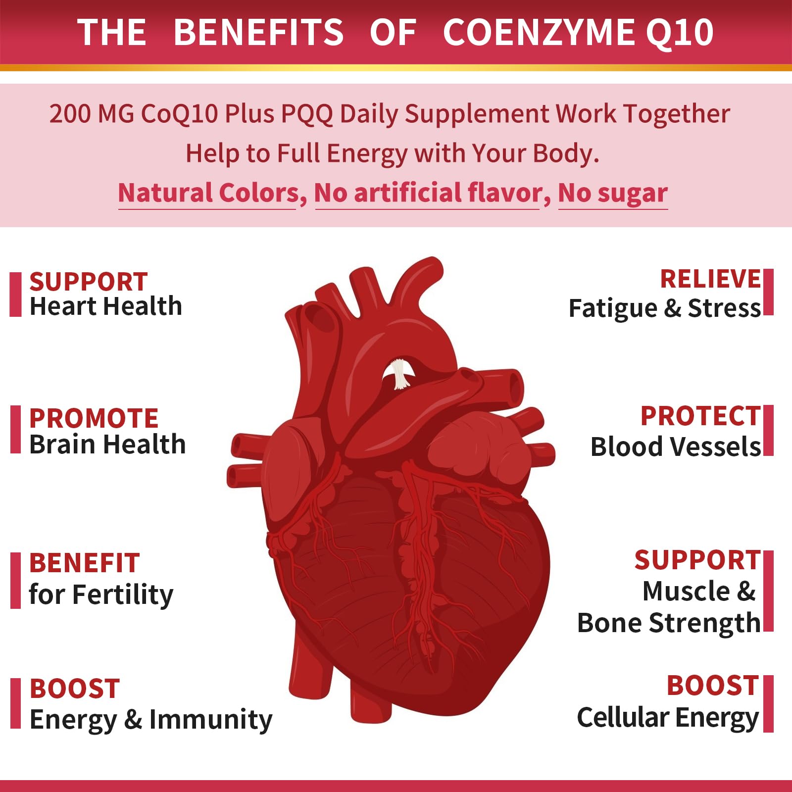 ZEBORA CoQ10-200mg-Softgels with PQQ, BioPerine & Omega-3, 120 Servings Coenzyme Q10(Ubiquinone) Supplement for High-Absorption, Powerful-Antioxidant - PrimeBioHealth - canada supplements